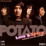 Love & Spicy album cover