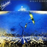 Night Birds album cover