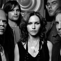 The Cardigans